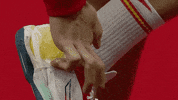 Celebration Win GIF by EHF
