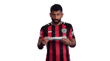 Stay Safe Bayer 04 Sticker by Bundesliga