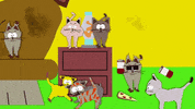 cats eating GIF by South Park 