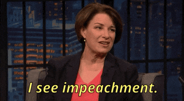 Impeach Donald Trump GIF
