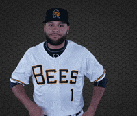 SaltLakeBees happy dance celebration celebrate GIF
