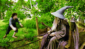 lord of the rings hobbits GIF by Box Office