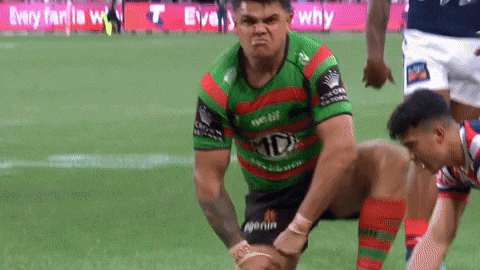 South Sydney Rabbitohs GIF