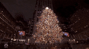 Christmas In Rockefeller 2019 GIF by NBC
