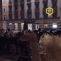 Police Protest GIF by Linz News