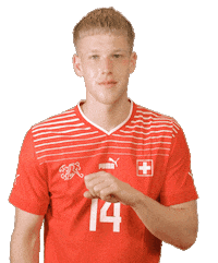 Switzerland Suisse Sticker by Swiss Football Association