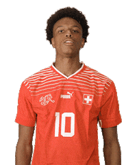 Switzerland Suisse Sticker by Swiss Football Association