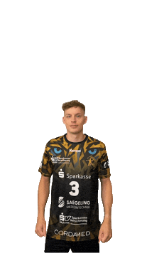 Bundesliga Handball Sticker by hcelbflorenz
