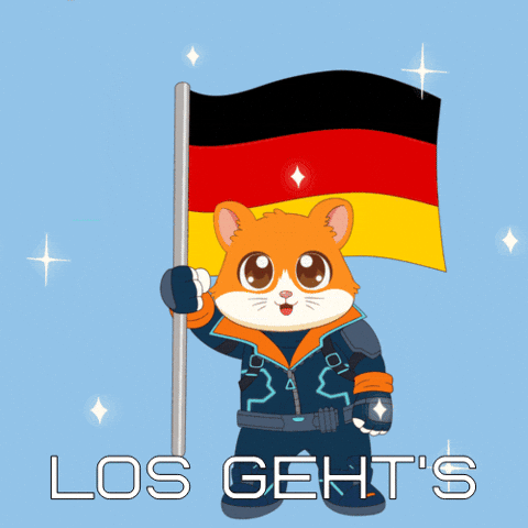 Germany Football GIF by Hamieverse