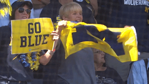 umichathletics giphygifmaker fans michiganbaseball GIF