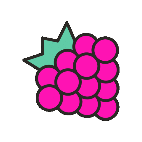 maevechocolate giphygifmaker fruit berry raspberry Sticker