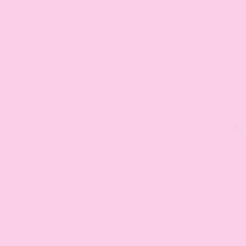 Pink Quit GIF by ArmyPink