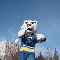 Polar Bear Nook GIF by University of Alaska Fairbanks