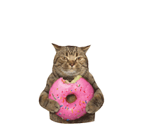 Donut Sticker by Idea