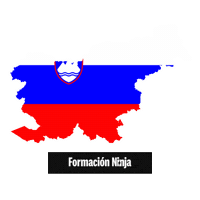 Flag Bandera Sticker by Formación Ninja