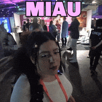 Cat Good Luck GIF