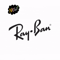 Linottica rayban thiene breganze linottica GIF