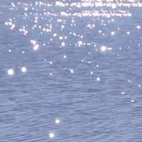 Water Shine GIF by John Fogarty