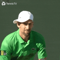 Happy Novak Djokovic GIF by Tennis TV