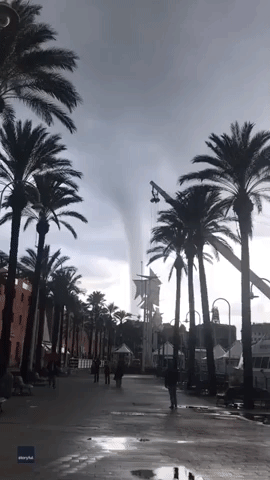 Dog Barks at Waterspout Whirling Along Italian Coastline