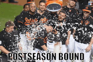 GIF by FOX Sports: Watch. Enjoy. Repeat.