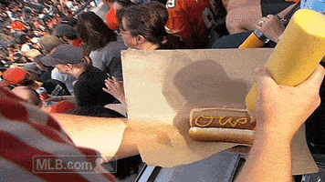 baltimore orioles baseball GIF by MLB