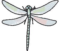 Butterfly Dragonfly Sticker by Luiza Negreiros Dermato