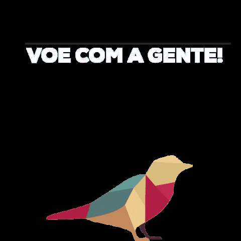 Voo GIF by Canário Marketing