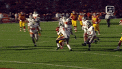 cyclonestv lazard 2015 td GIF