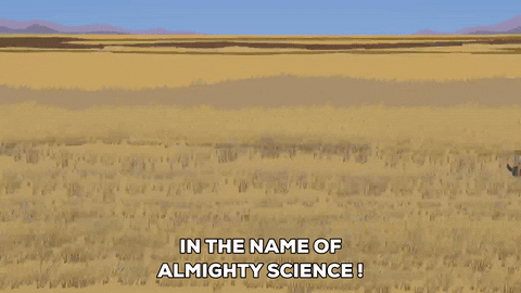 ostrich stampede running GIF by South Park 