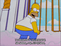 homer simpson GIF