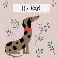 May Day Hello GIF by Babybluecat