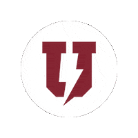 Garnet Chargers Sticker by Union College
