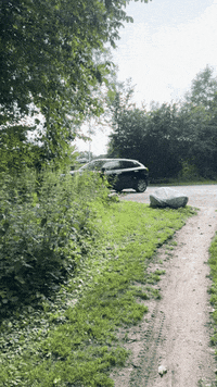 Travel City GIF