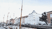 Great Danes Denmark GIF