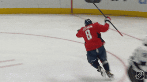 Happy Washington Capitals GIF by NHL