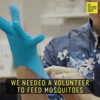 Bite Biting GIF by 60 Second Docs