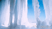 america wild film GIF by Visite os USA