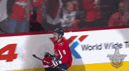 happy ice hockey GIF by NHL