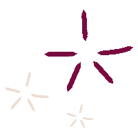 Star Sticker by émoi émoi