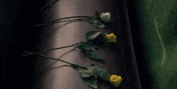 stranger things funeral GIF