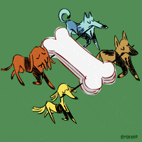 dog show fox GIF by Animation Domination High-Def