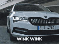 skodaglobal best smart bright spark GIF