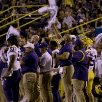 Lsu Football Win GIF by LSU Tigers
