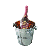 Ice Sticker by Campari_rus