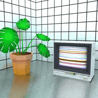 still life plant GIF by jjjjjohn