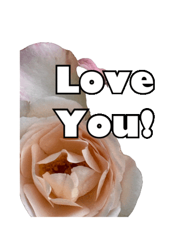 Love You Luv Sticker by Global Tara Entertainment