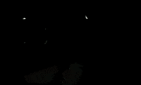 Beach Sand GIF by PBS Digital Studios