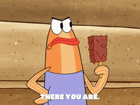 season 6 episode 3 GIF by SpongeBob SquarePants