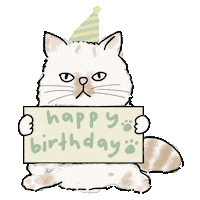 Happy Birthday Sleeping Sticker